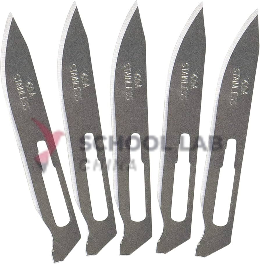Scalpel Blades - Number 24 - Pack of 5